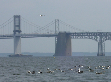 Sandy Point State Park